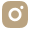 Insta hover icon